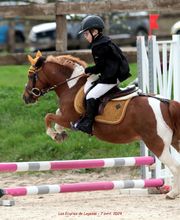 Centre équestre de Villechétif image 11