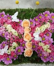 Maison NECTOUX Fleurs et nature image 14