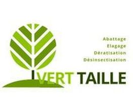 Vert Taille image 9
