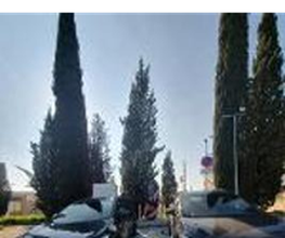 Wenea imagen 3