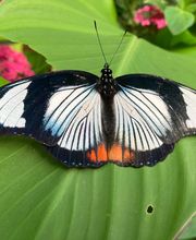 Le Jardin des Découvertes image 1