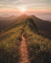 Bolli Domenico Sagl Bild 1