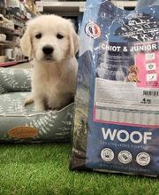 Bricomarché Châteaulin image 3