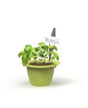 SaatGut Hassler Bild 3