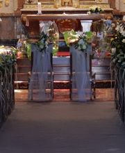 Bruckner Anne Marie image 12