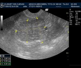 Argos Clínica Veterinaria imagen 9