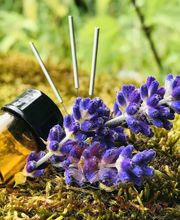 Naturheilpraxis Schaefer Bild 7