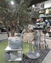 Orchestra NIMES image 6