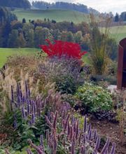 Balsiger Gärten AG Bild 5