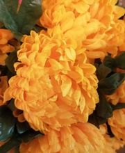 Pompes Funèbres Du Quercy image 7