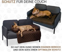 DBULLDOG GmbH Bild 2