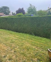 QG Espaces Verts image 8