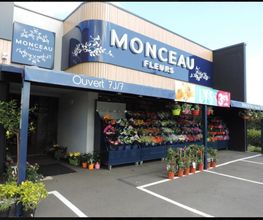 Parce que c'est toi image 3
