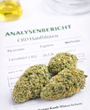Vapor Spirit CBD Shop Zürich, CBD kaufen Schweiz & CBD Öl Bild 1