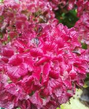 Bricomarché Orval image 10