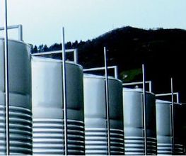 Sidra Riestra imagen 20