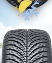 PNEUHAUS ARIFA SABANI GD Bild 1