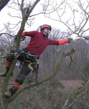 Allais et Fils image 18