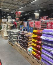 Animalis Carcassonne image 5