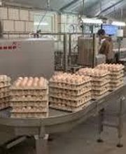 Premel Cabic image 15