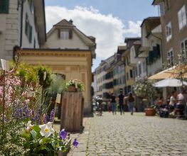 Solothurn Tourismus Bild 7