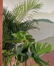 Plougasnou Optique - Opticien Plougasnou image 10