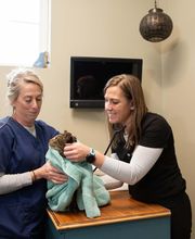 Cottleville Animal Hospital image 9