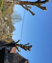 A.D.S Services image 15