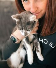 Le CHATel hôtel image 17