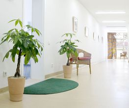 Zahnarztpraxis Susann Grandt Bild 2