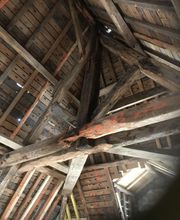 Agence Antiparasitaire Du Bois Pontivy image 2