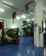 Gallery Cliente