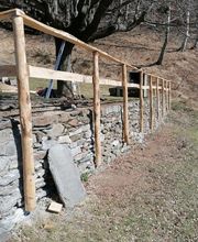 Nesurini Daniele - Lavori Forestali e Segheria Bild 1