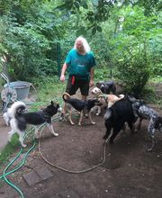 Martin Hofmann Bild 15