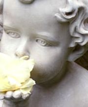 Abschied Bestattungen Bild 1