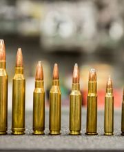 Arizona Firearms image 4