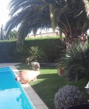 L AMI DES SAISONS image 2