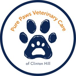 Pure Paws Veterinary Care of Clinton Hill