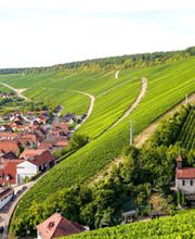 Weingut Am Lump Bild 1