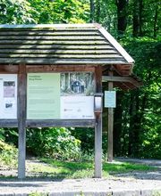 FriedWald Burg Plesse Bild 11