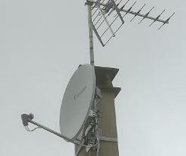 Mevial Yoann image 1