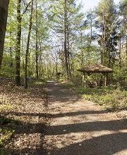 FriedWald Bremervörde Bild 12