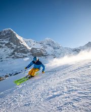 Kleine Scheidegg - Top of Hiking Bild 2
