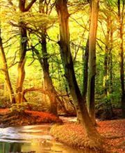 Jörg Fischer Tischlerei Bild 2