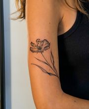 Nil Fineline imagen 10