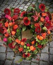 Blumen Advena Bild 3