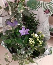 Jardin Des Loges image 10