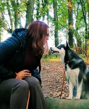 Hundezentrum Lapki Bild 7