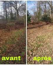 Lowson Paysage image 2