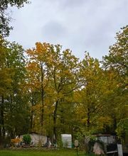 Campingplatz am Sassenpfuhl e.V. Bild 10